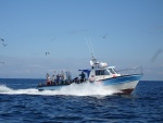 Chartered sea angling trips can be arranged from Culdaff